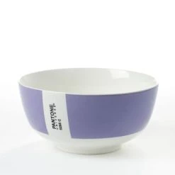 Serax Bol Céramique D14cm -Boutique Cristal d'Arques bol ceramique d14cm pantone 1