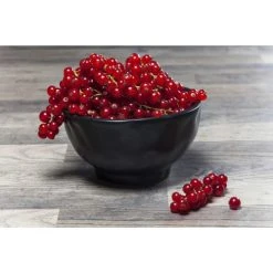 Kare Design Bol En Grès Noir D15 - Lot De 4 -Boutique Cristal d'Arques bol en gres noir d15 lot de 4 2