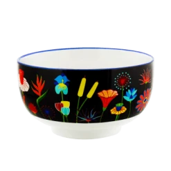 Pylones Bol En Porcelaine 450ml -Boutique Cristal d'Arques bol en porcelaine 450ml matinal bol 2