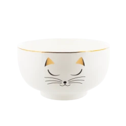 Pylones Bol En Porcelaine 450ml -Boutique Cristal d'Arques bol en porcelaine 450ml matinal bol 4