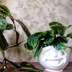 Tassen Bol XL En Porcelaine émotion 1000ml 10 Tassen Bol XL En Porcelaine émotion 1000ml -Boutique Cristal d'Arques bol xl en porcelaine emotion 1000ml 7