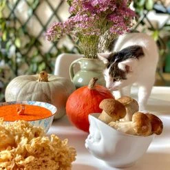 Tassen Grand Bol En Porcelaine Malicieux 500ml 12 Tassen Grand Bol En Porcelaine Malicieux 500ml -Boutique Cristal d'Arques grand bol en porcelaine malicieux 500ml 4