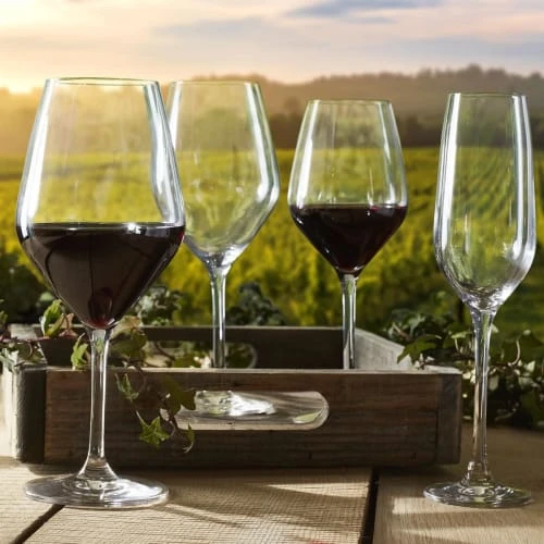 OGO Living Lot De 6 Verres à Pieds 25cl 5 OGO Living Lot De 6 Verres à Pieds 25cl – Image 3