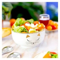 Pylones Petit Saladier En Porcelaine -Boutique Cristal d'Arques petit saladier en porcelaine matinal soupe 4